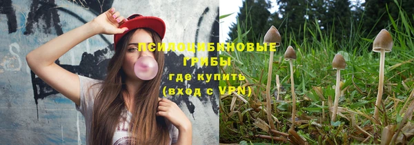 амф Белоозёрский