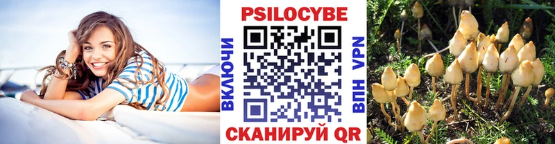 Псилоцибиновые грибы GOLDEN TEACHER  купить   Заозёрный 